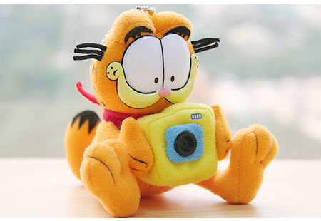 Webcam Garfield