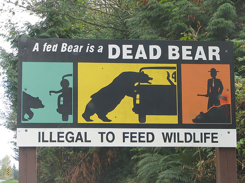 Don't feed the bear !