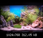 Mon aquarium au 30 Sept 07