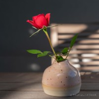 Quand le travail du bois rencontre le travail de la terre. Poterie par @l2ceramique, fleurs en bois par @unejoliefete, et photo par moi-même 😇

#artisanat #poterie #ceramique #clay #woodworking #woodwork #lasercut #wood #fleur #decoration #homestaging #nature #diy #handcrafted